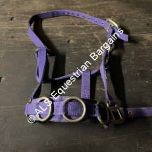 Estalon Purple Lunge Cavesson - Full