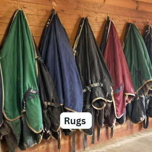 Rugs