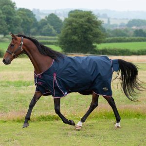 PRE-ORDER Gallop Trojan Duraproof 50g 5-Point Standard Neck Turnout (Navy)