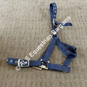Blue Headcollar - Pony