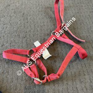 Fouganza Red Headcollar - Full