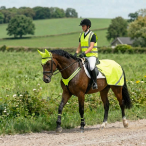 Hi Vis
