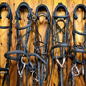 Bridle Parts