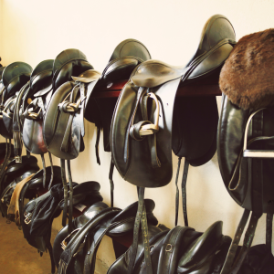 Saddles