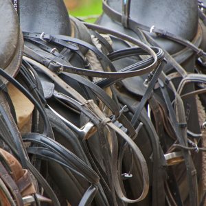 Saddlery & Tack Accessories