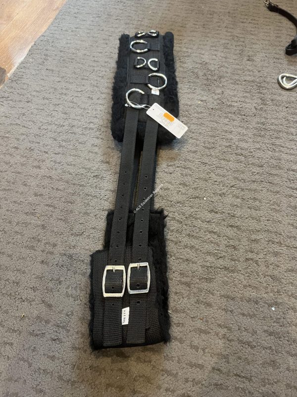 NEW Waldhausen Lunging Roller - Shetland