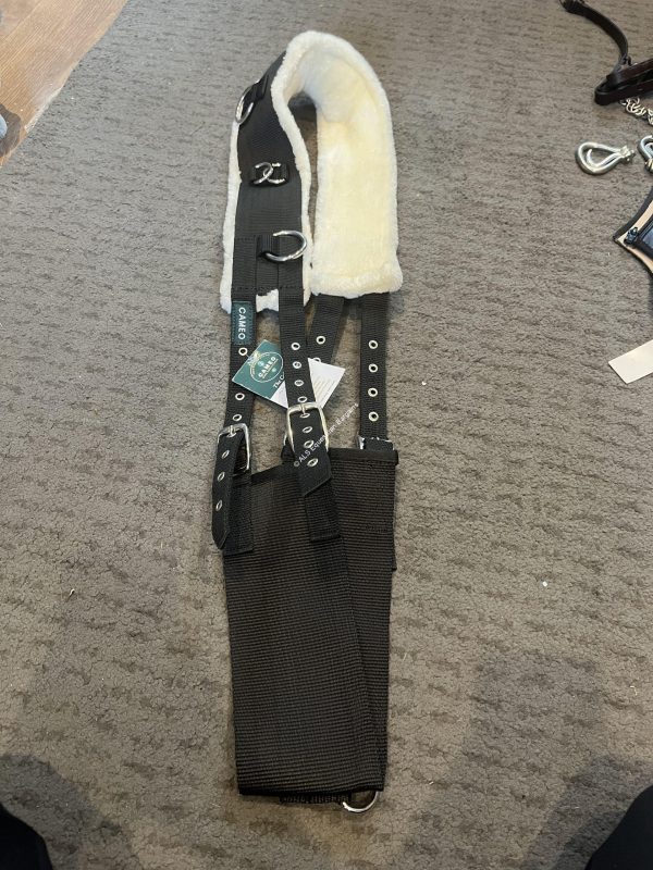NEW Cameo Lunging Roller - Pony, Cob & Full
