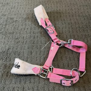 Equipride Pink Headcollar - Pony