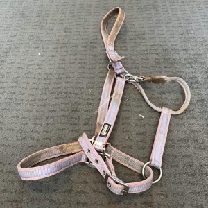 Roma Headcollar - Extra Full