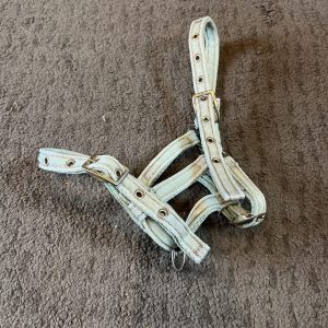 Foal Headcollar