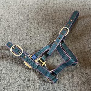 Mackey Green & Burgundy Headcollar - Pony