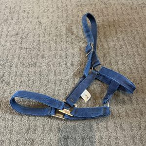 Blue Headcollar - Cob