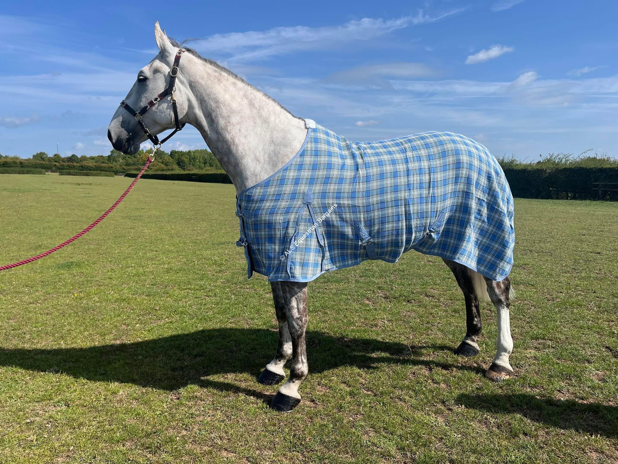 SECONDS Waffle Rugs - 7ft3 & 7ft6