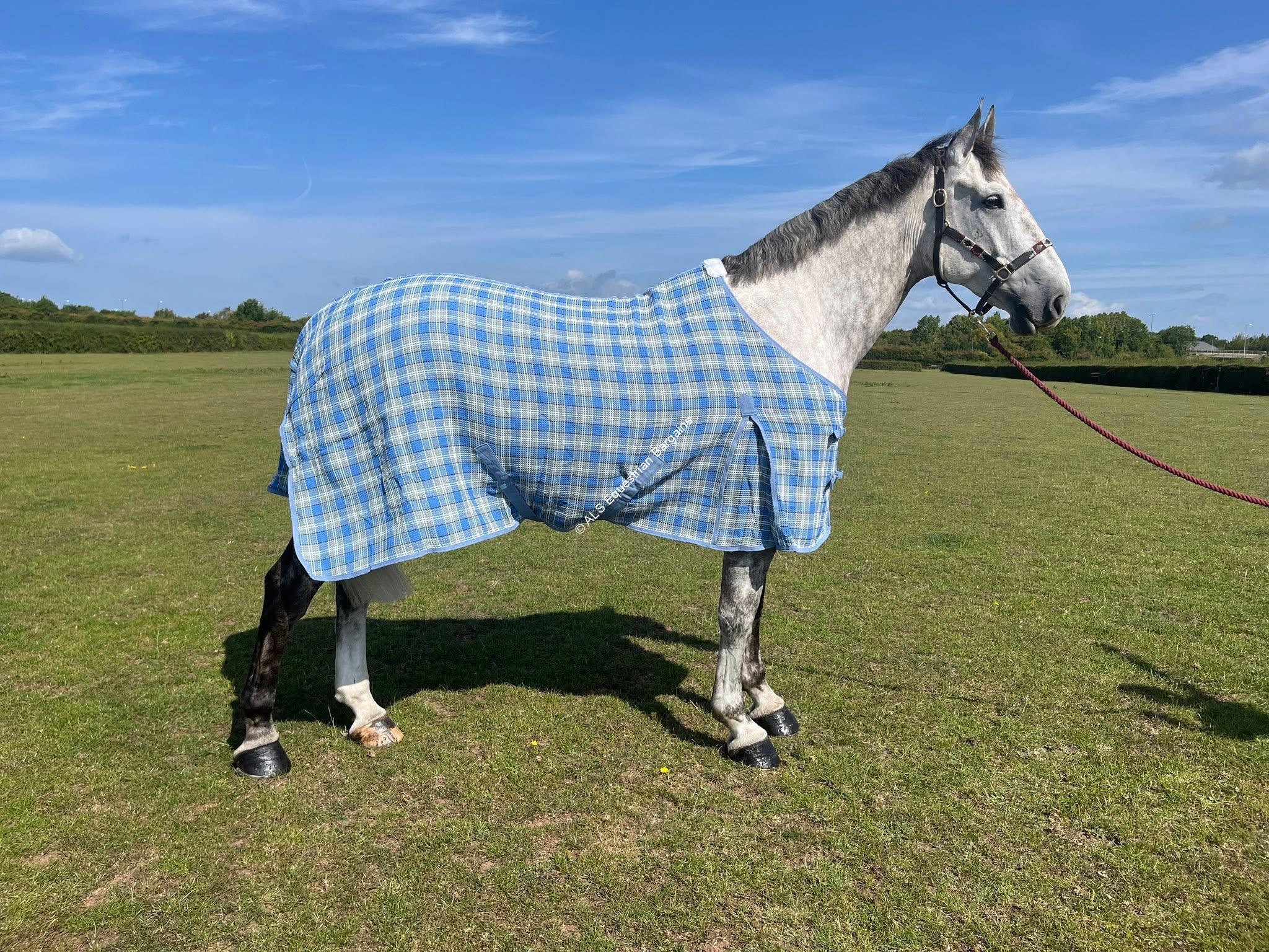 SECONDS Waffle Rugs - 7ft3 & 7ft6 - Image 3