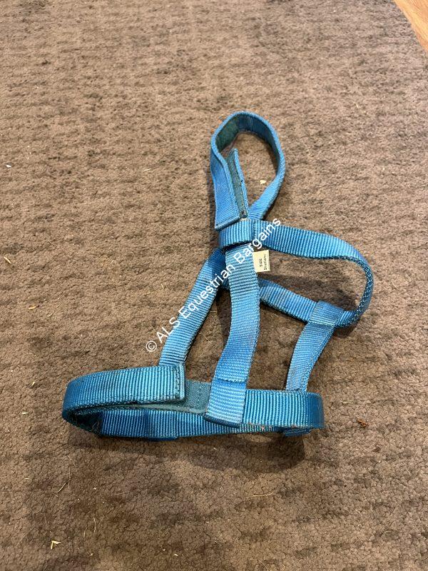 Blue Fieldsafe Headcollar - Shetland