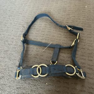 Shires Lunge Cavesson - Cob