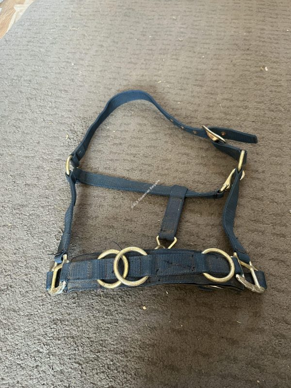 Shires Lunge Cavesson - Cob