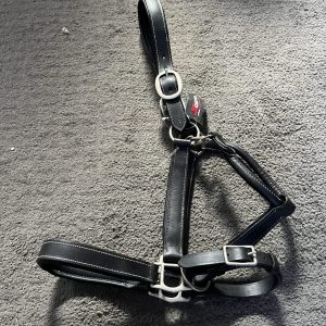 NEW Salamo Black Padded Leather Headcollar - Cob