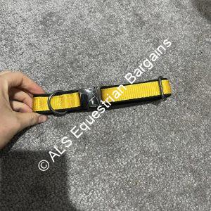 Yellow Dog Collar