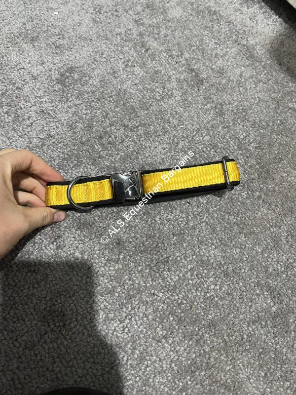 Yellow Dog Collar