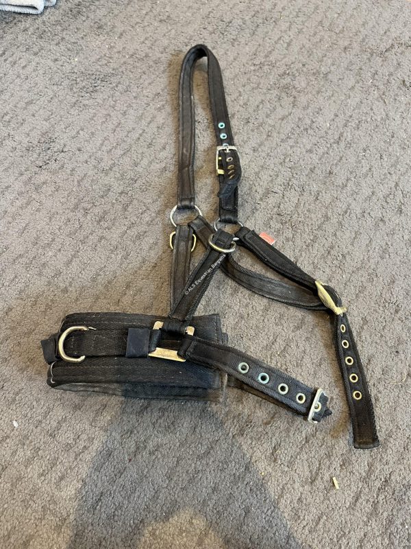 Equi-Ami Lunge Cavesson - Full