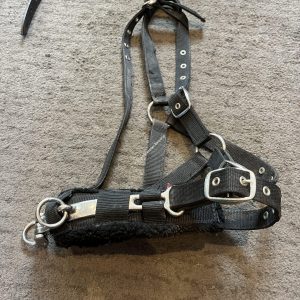 Bridleway Lunge Cavesson - Medium