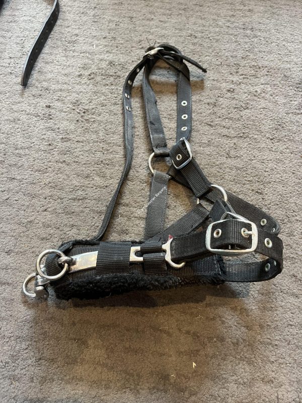 Bridleway Lunge Cavesson - Medium