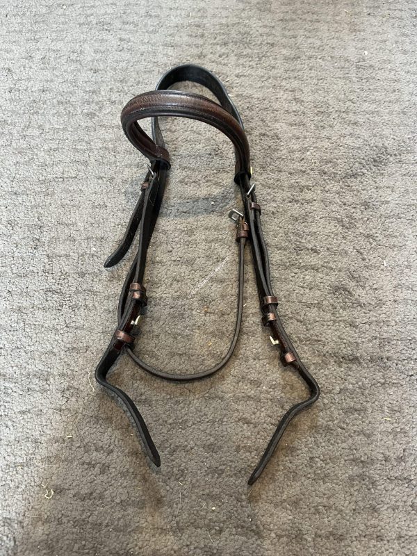 GFS Brown Bridle - Cob