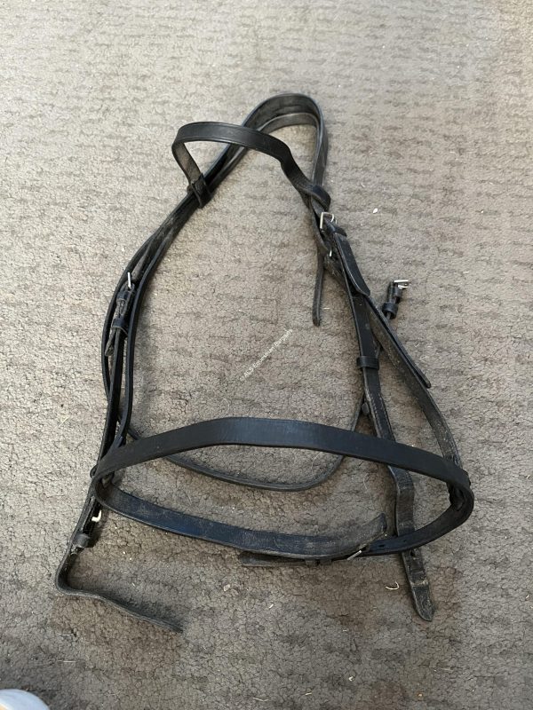 Black Bridle - Full