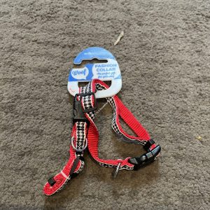 NEW Small Dog Collars (2 Pack)