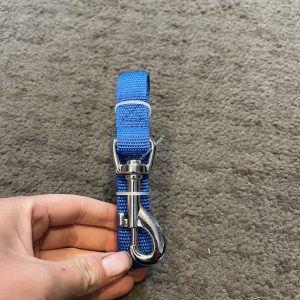 NEW Dog Lead