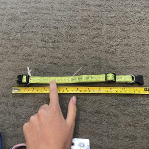 Adjustable Dog Collar - Small