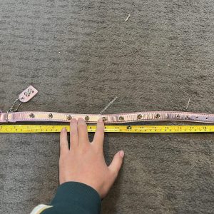 Pink Dog Collar - 20.5"
